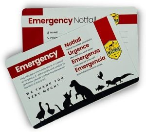 Emergency Contact Cards