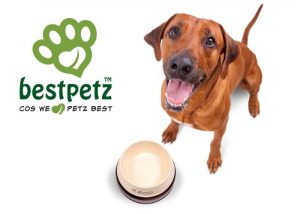 Feeding and water bowls