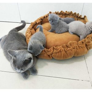 Drawstring Beds for Dogs and Cats